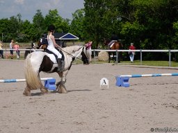 _DSC9300-707